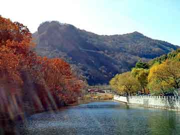 正新澳门二四六天天彩，风流神医